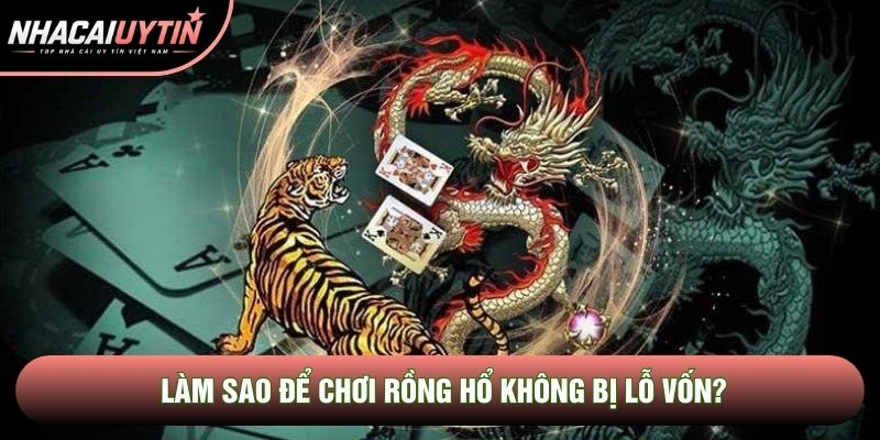 Làm sao để chơi rồng hổ không bị lỗ vốn?