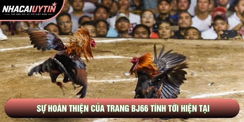 Sự hoàn thiện của trang BJ66 tính tới hiện tại